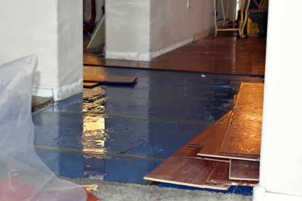 Professional Flood Cleanup technician working in Lawton, MI
